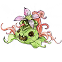 曼陀罗魔花头像