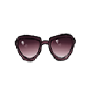 太阳眼镜