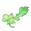 绿色药草