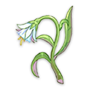 幻想花