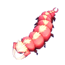 艾吉欧蜈蚣卡片